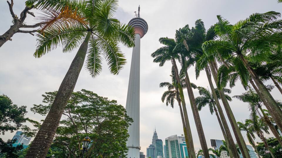 A tall tower with a spherical observation deck, surrounded by palm trees and modern buildings.