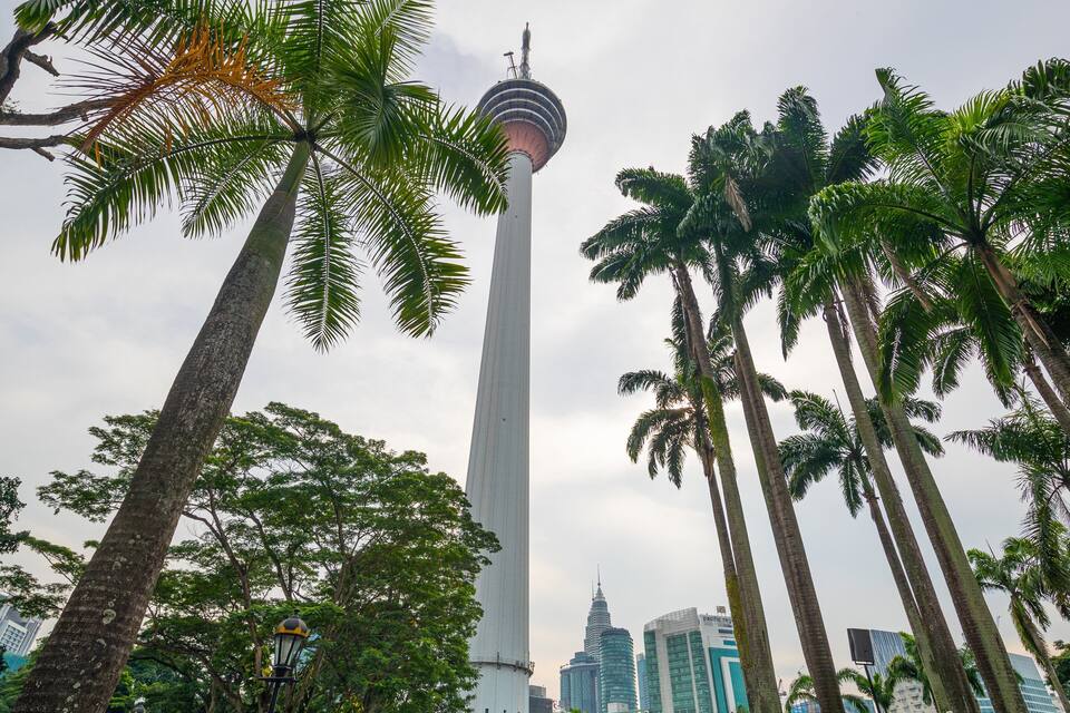 Uma torre alta com um deque esférico de observação, cercada por palmeiras e edifícios modernos.