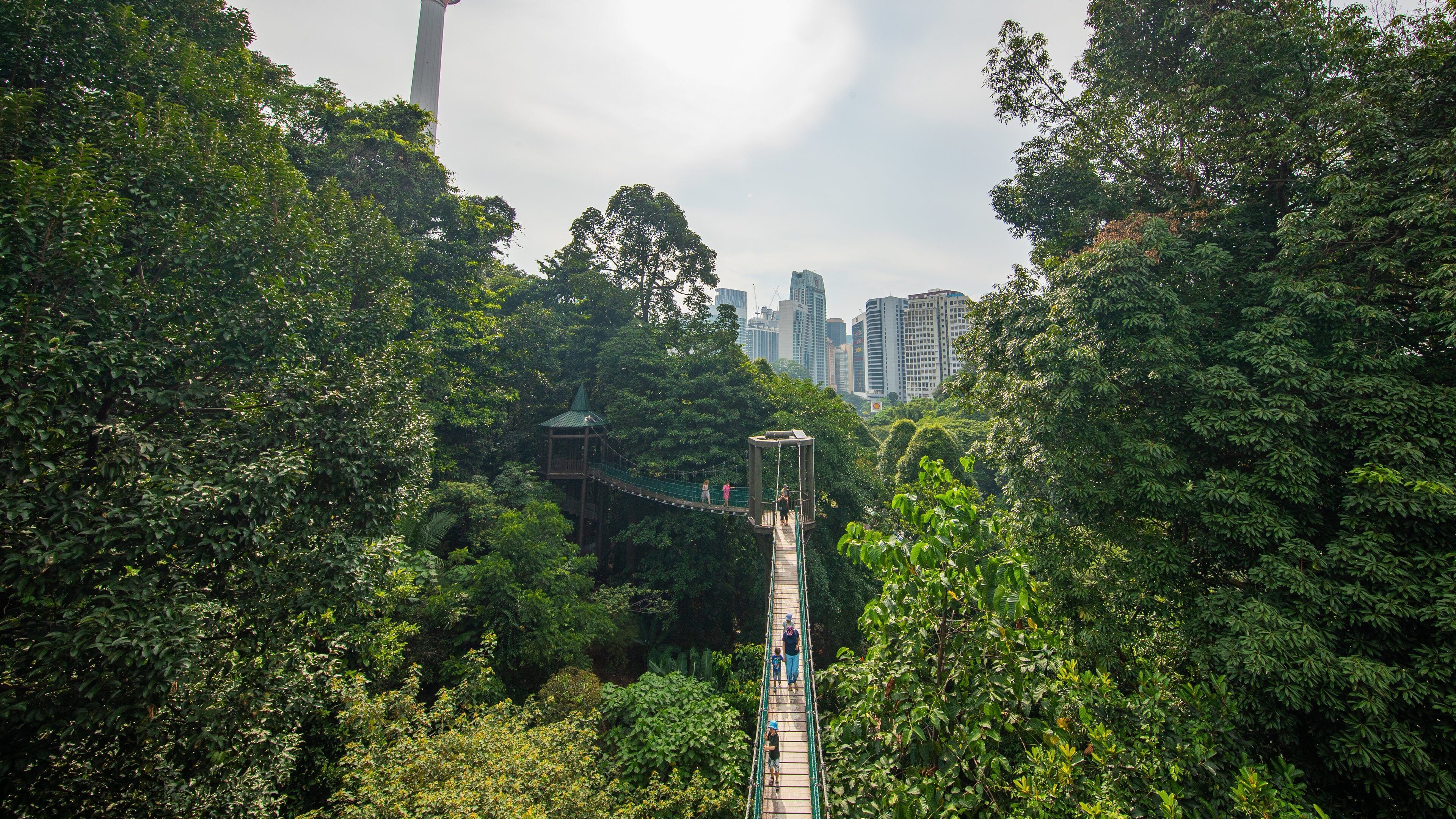 Bukit Nanas Forest Reserve which includes a city and a suspension bridge or treetop walkway