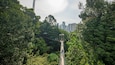 Bukit Nanas Forest Reserve which includes a city and a suspension bridge or treetop walkway