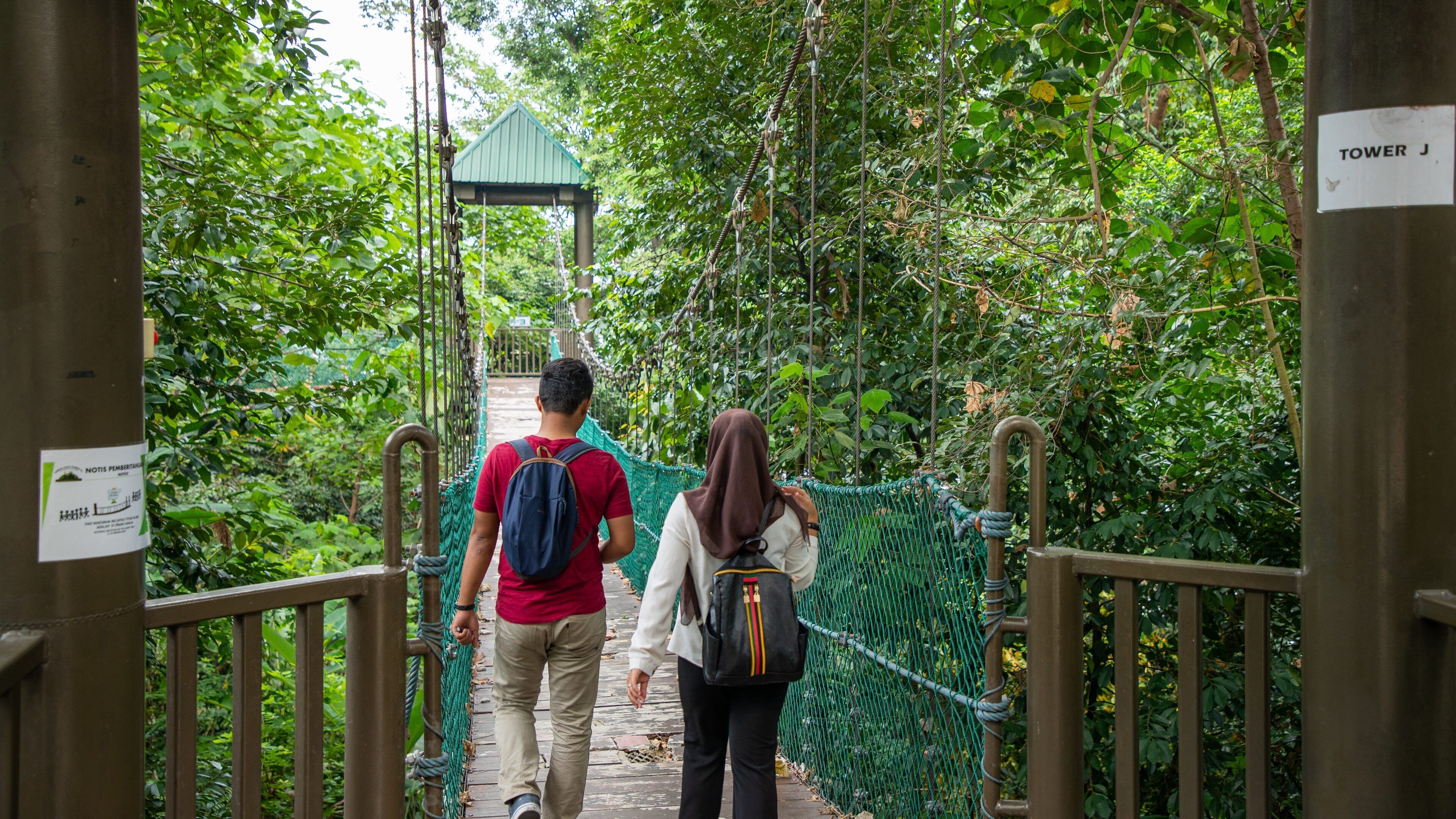 Bukit Nanas Forest Reserve which includes a garden and a suspension bridge or treetop walkway as well as a couple