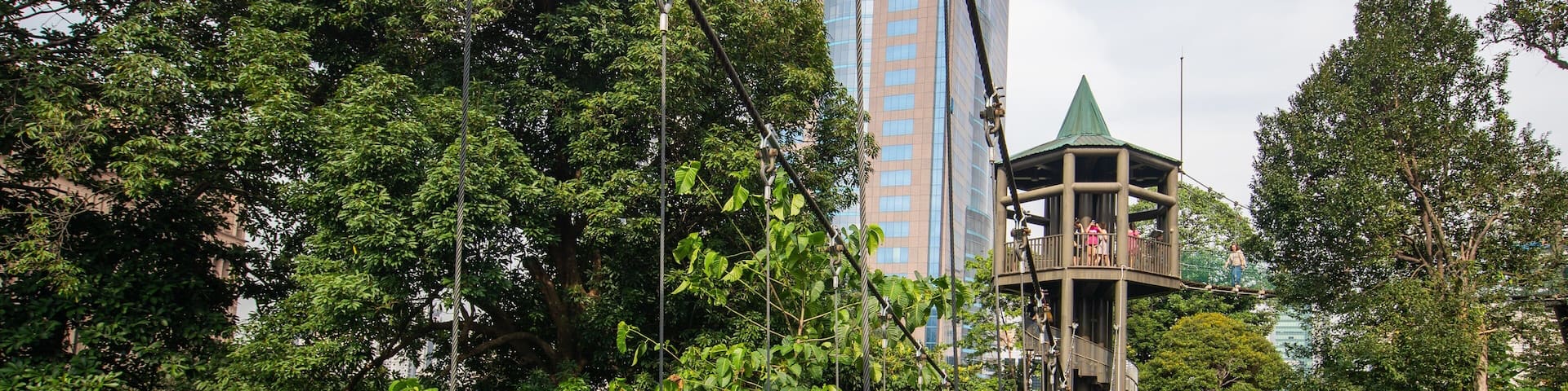 Bukit Nanas Forest Reserve showing a suspension bridge or treetop walkway as well as a small group of people