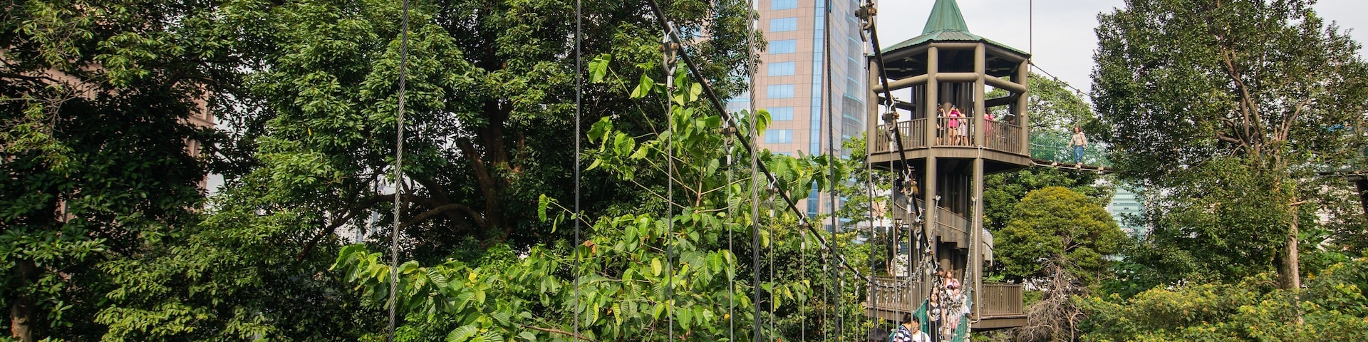 Bukit Nanas Forest Reserve showing a suspension bridge or treetop walkway as well as a small group of people