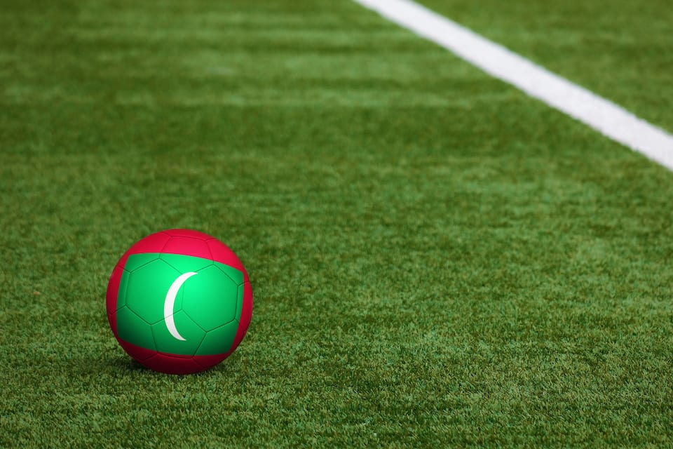 Una pilota de futbol damunt un camp de gespa amb línies blanques.
