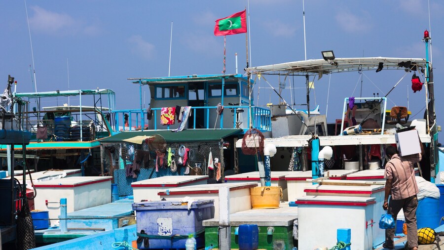 Maldivian flag over the harbor in Male fish market