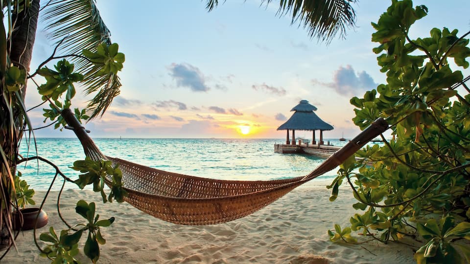 A hammock on a sandy beach with a thatched-roof structure in the background and palm trees framing the scene.