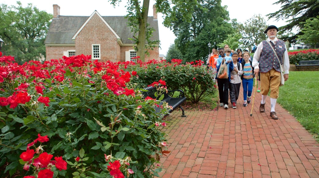 Maryland State House showing wildflowers and a garden as well as an individual male
