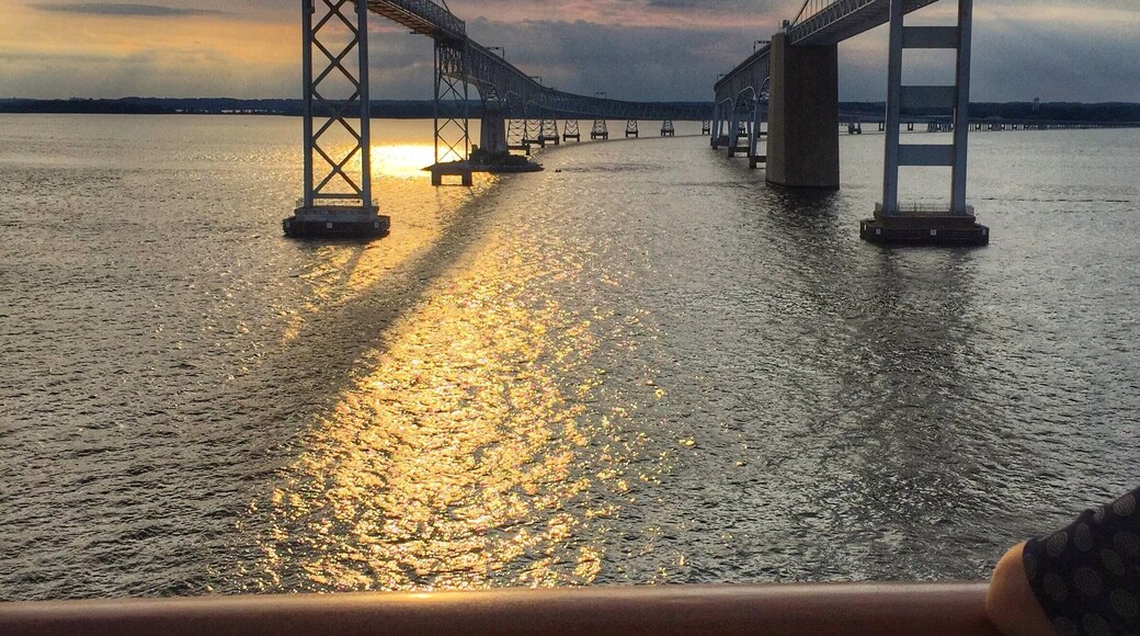 Cruising in the Bay Bridge