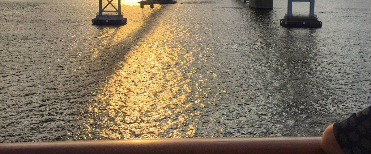 Cruising in the Bay Bridge