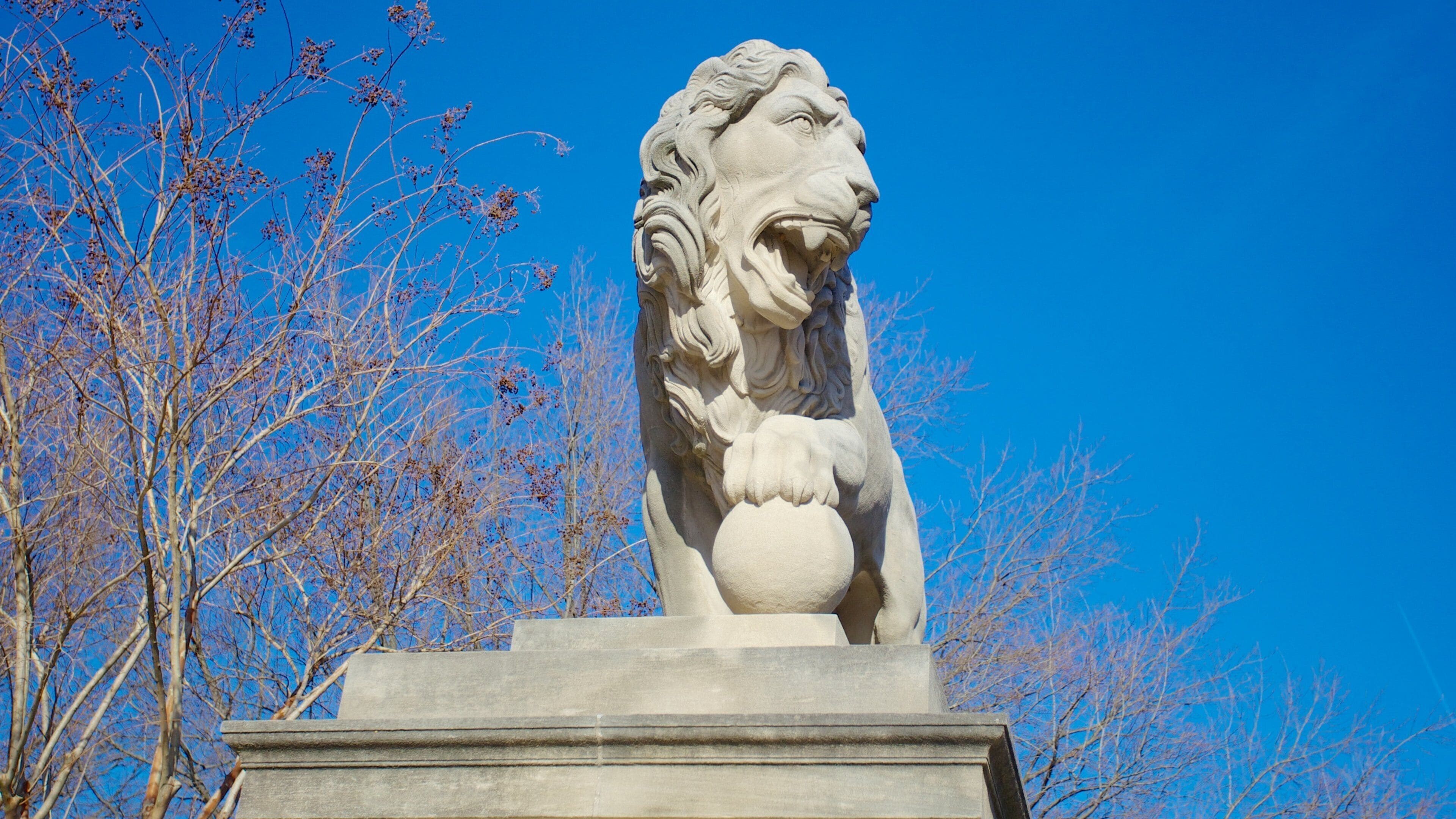 Baltimore Museum of Art caracterizando arte, uma estátua ou escultura e um monumento