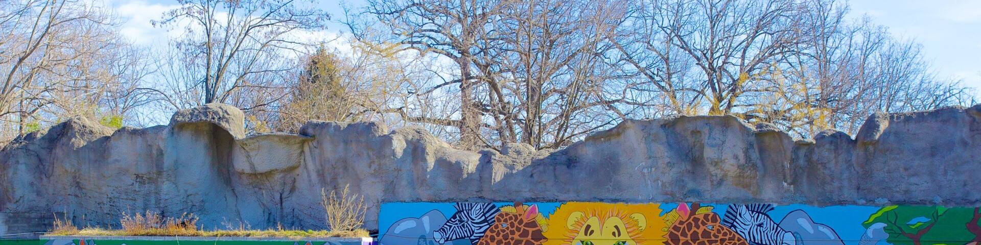 Mural depicting wildlife at Maryland Zoo in Baltimore with vibrant colors and nature elements
