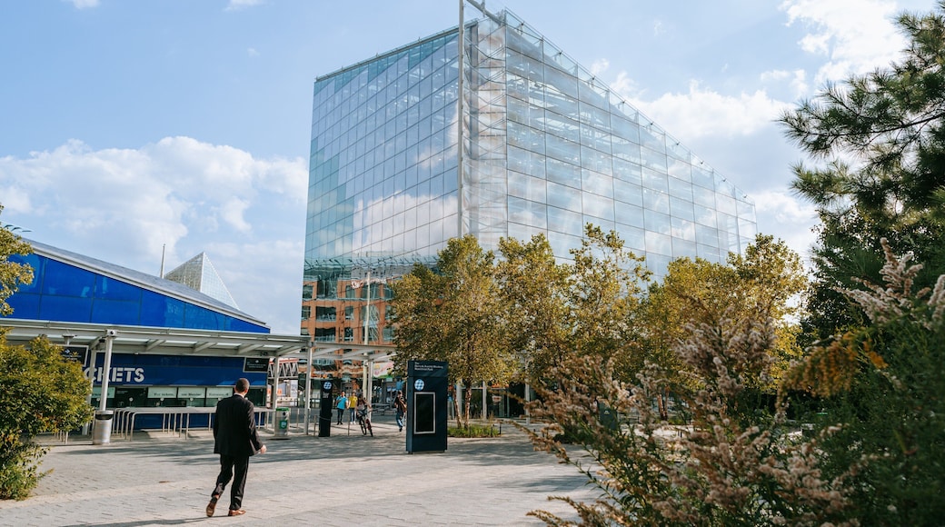 National Aquarium in Baltimore which includes street scenes