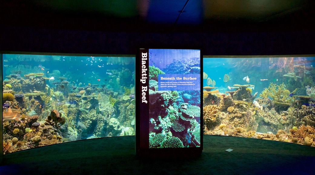 National Aquarium in Baltimore mostrando vida marinha, vistas internas e sinalização