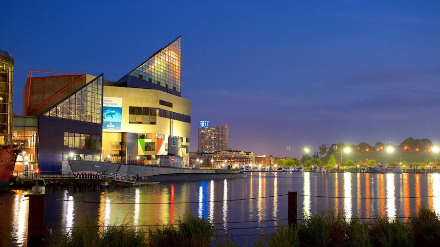 National Aquarium in Baltimore