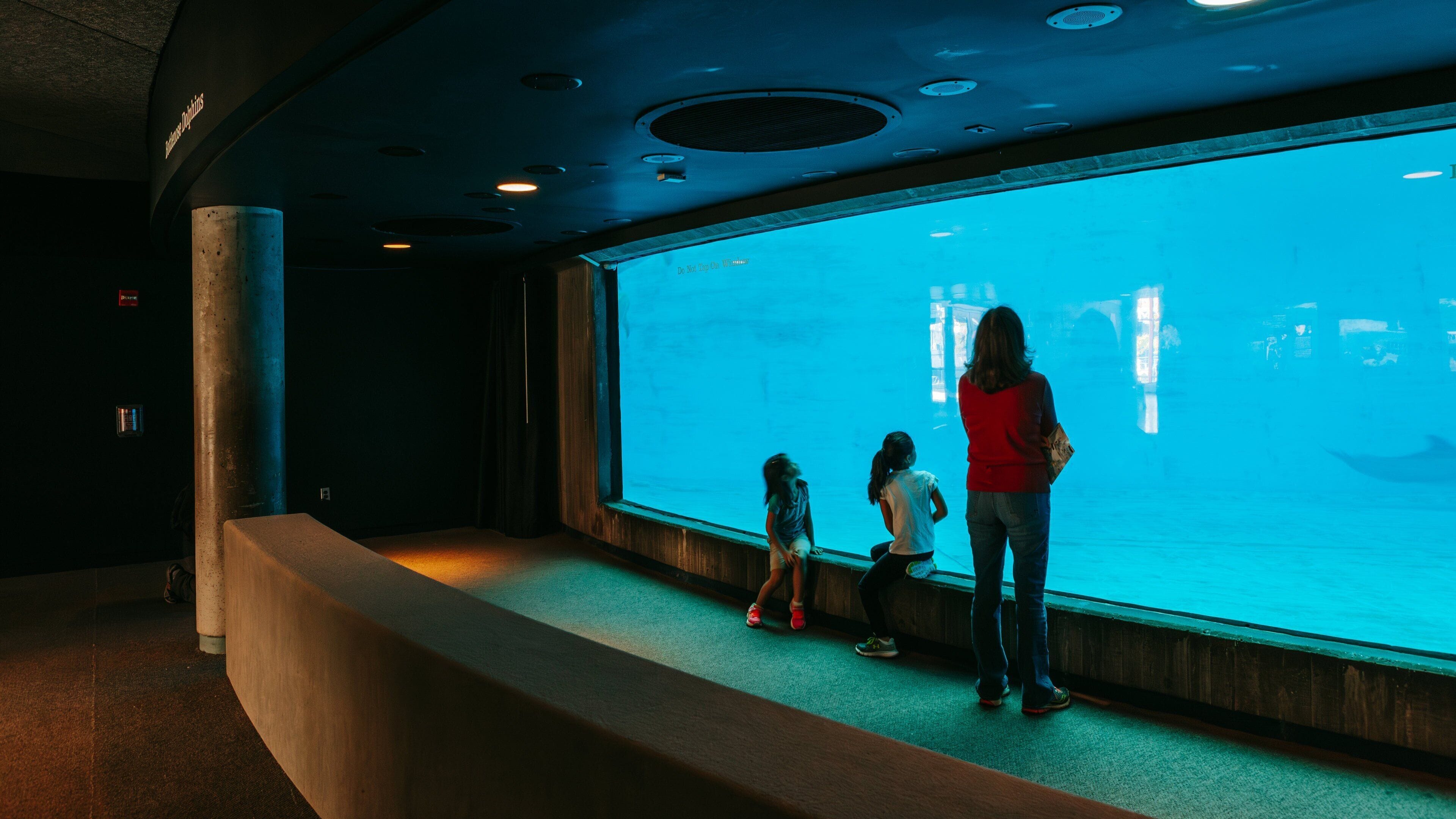 National Aquarium in Baltimore which includes marine life and interior views as well as a family