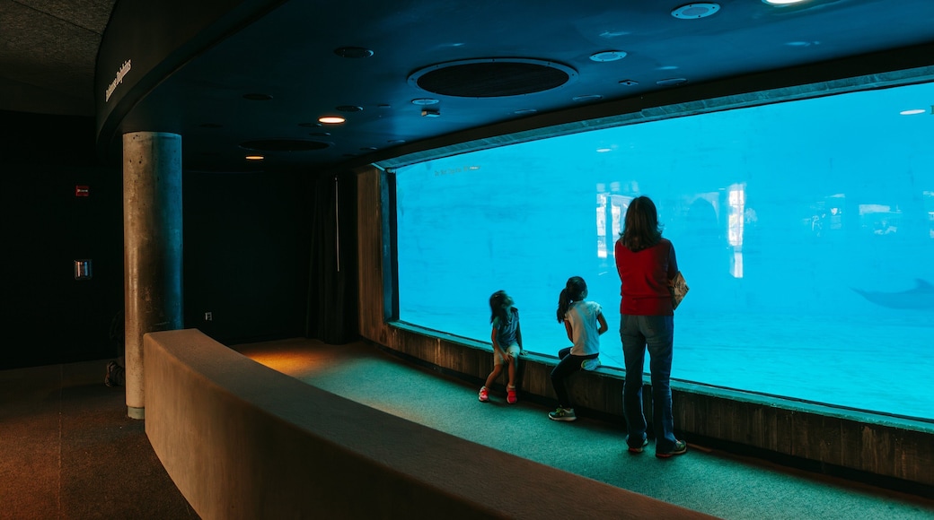 National Aquarium in Baltimore which includes marine life and interior views as well as a family