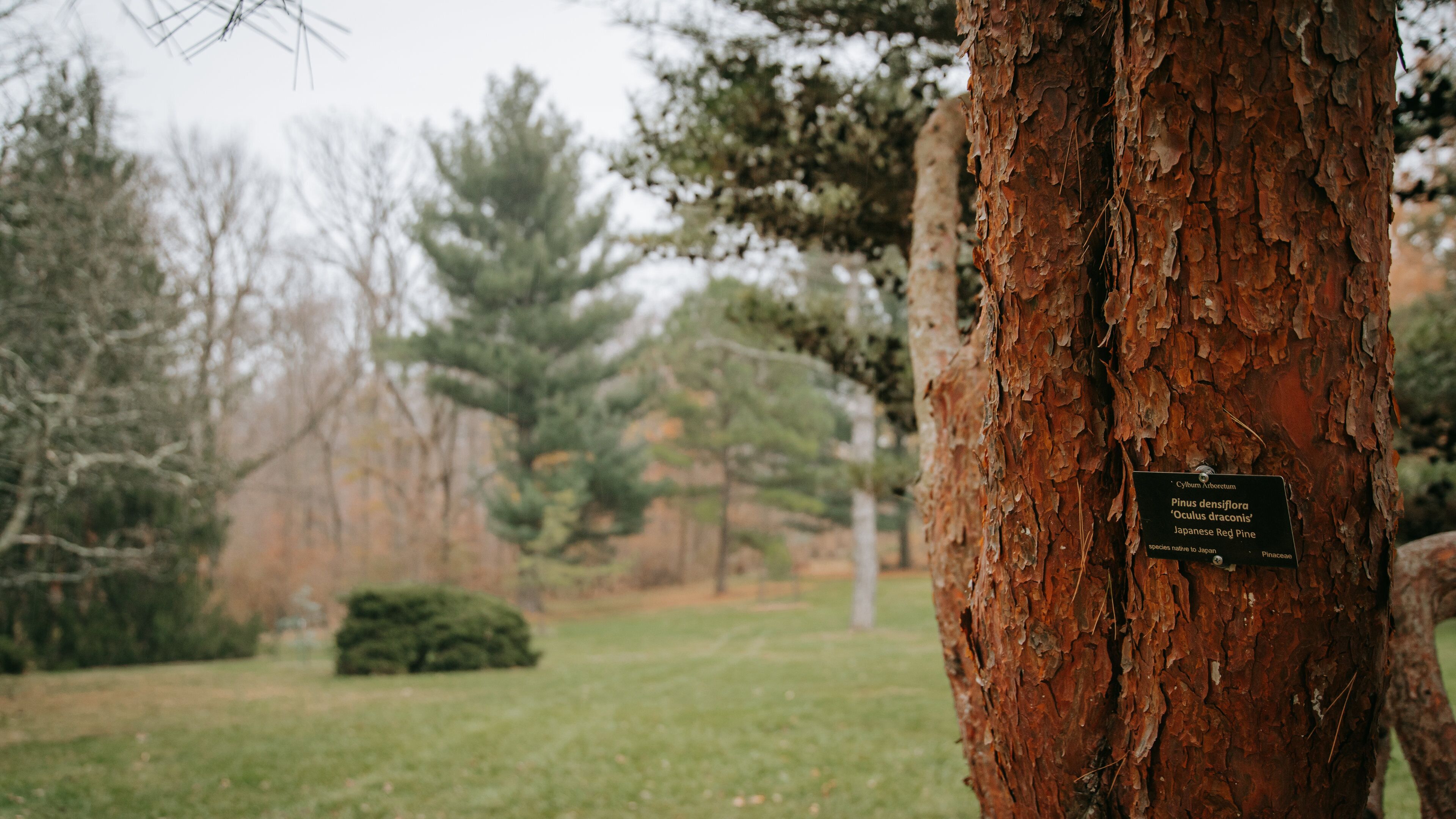 Cylburn Arboretum which includes signage and a garden