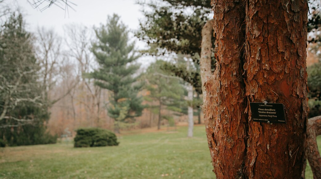 Cylburn Arboretum which includes signage and a garden