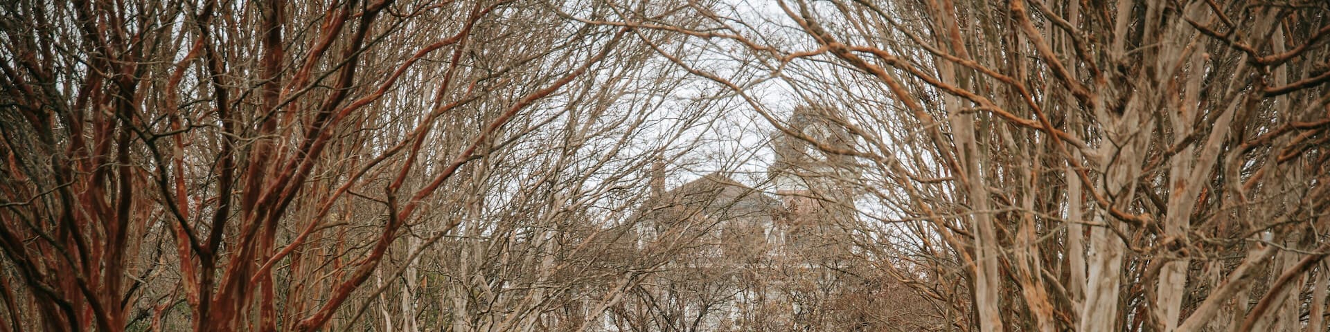 Cylburn Arboretum featuring a garden and autumn leaves