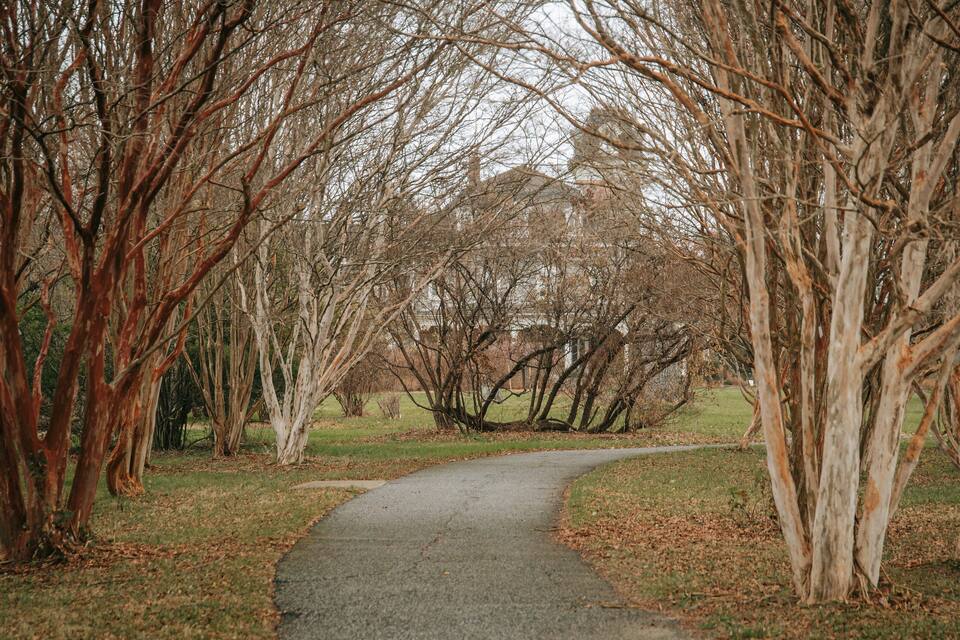 A park with a winding path surrounded by leafless trees.