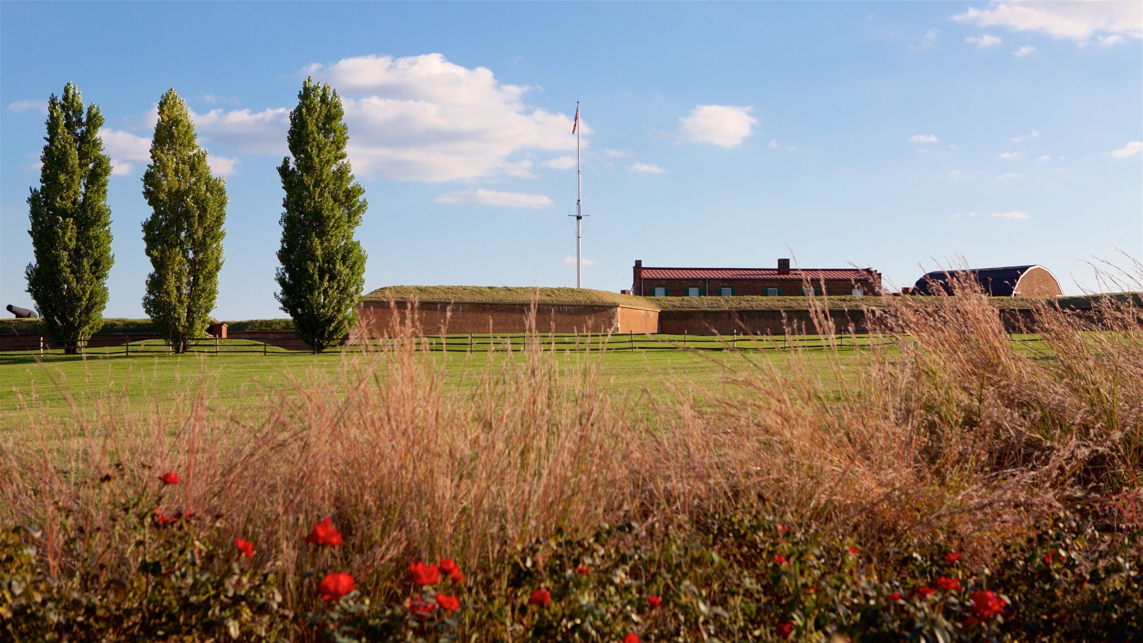 Fort McHenry mostrando flores silvestres y un parque