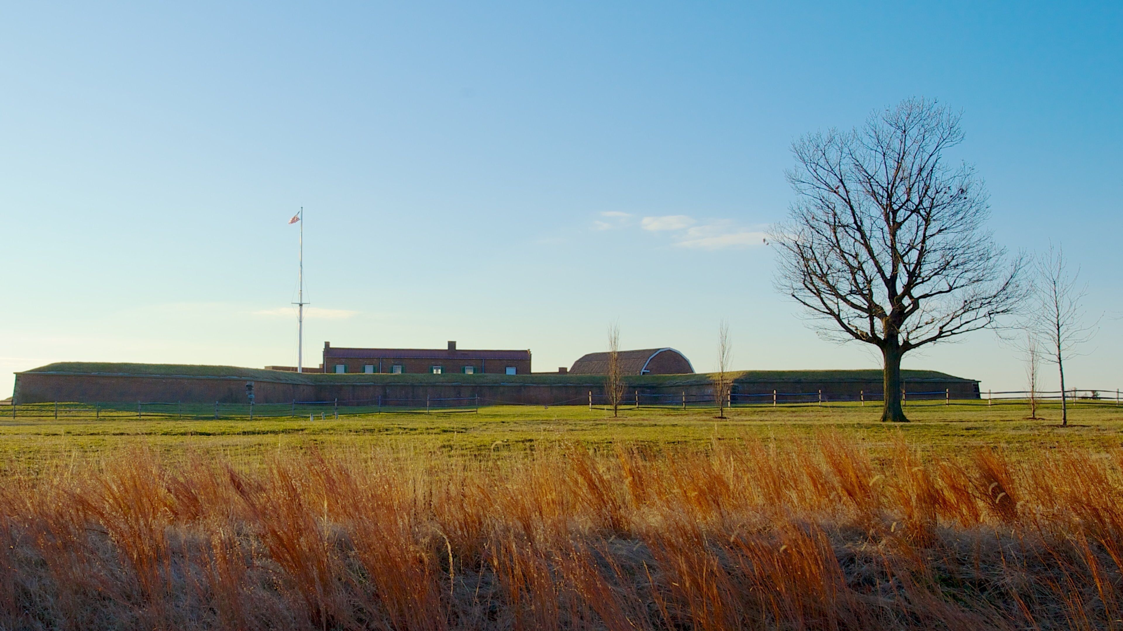 Fort McHenry stands proudly in Baltimore, Maryland with a clear blue sky overhead and tall grass in the foreground