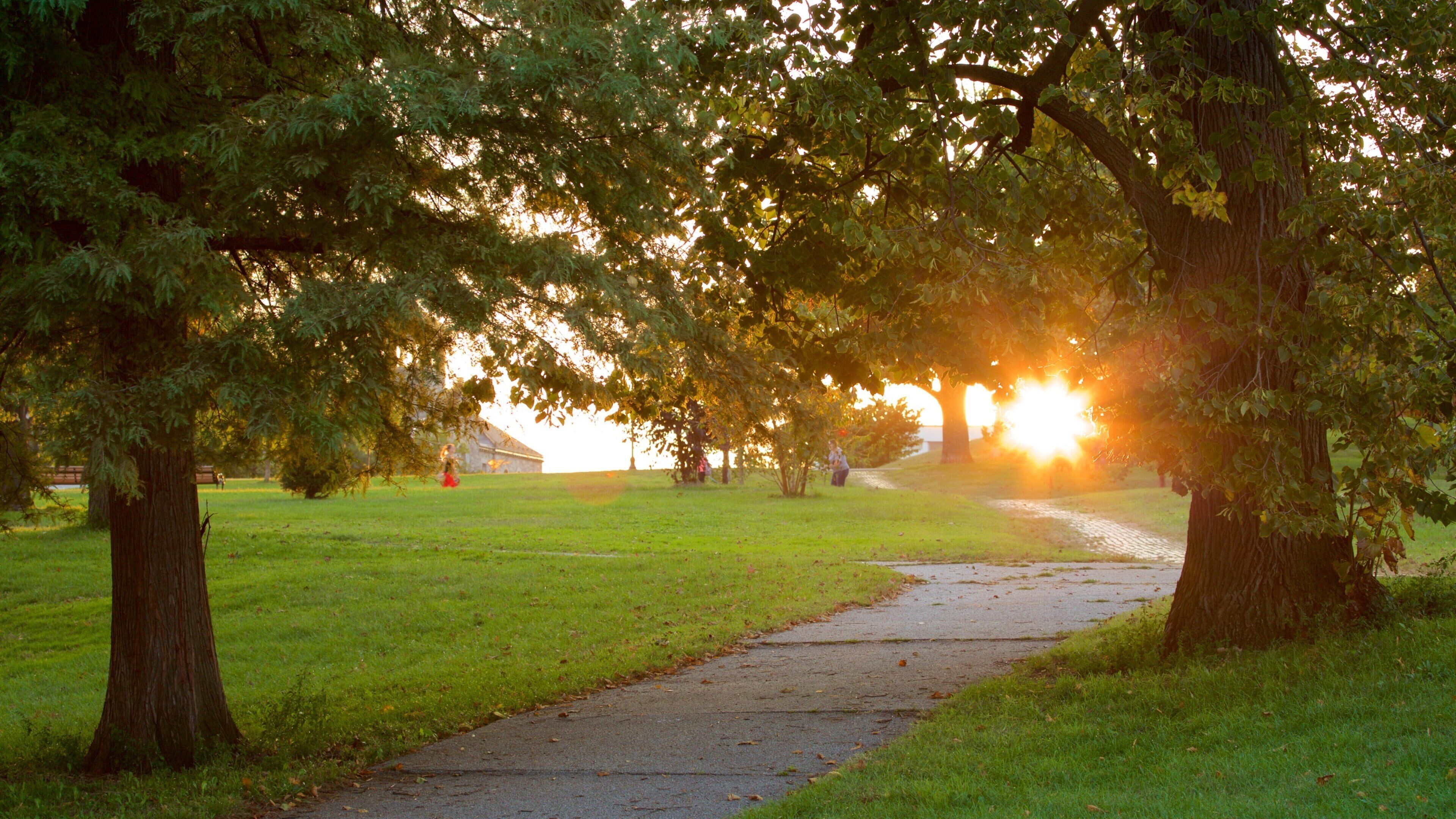 派特森公園 呈现出 夕陽 和 花園
