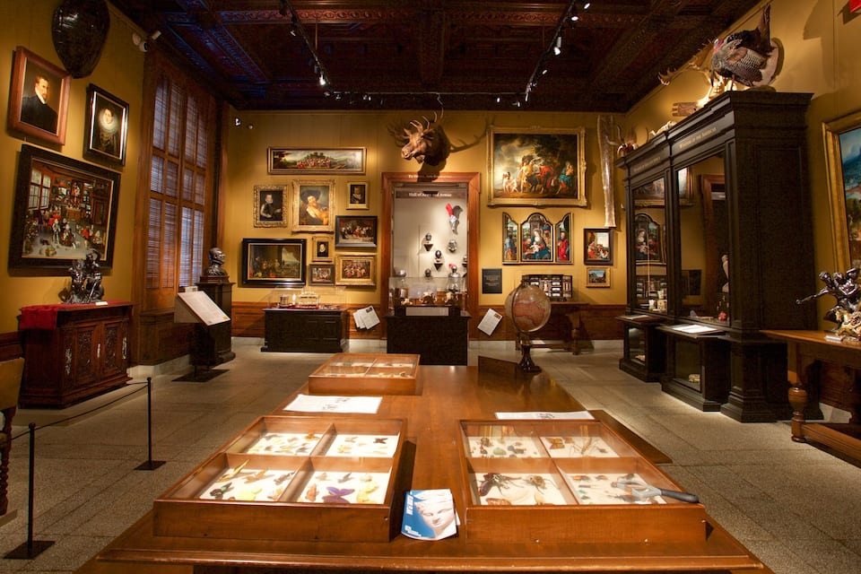 Et museum med trævitrineskabe, malerier og en stor globus.