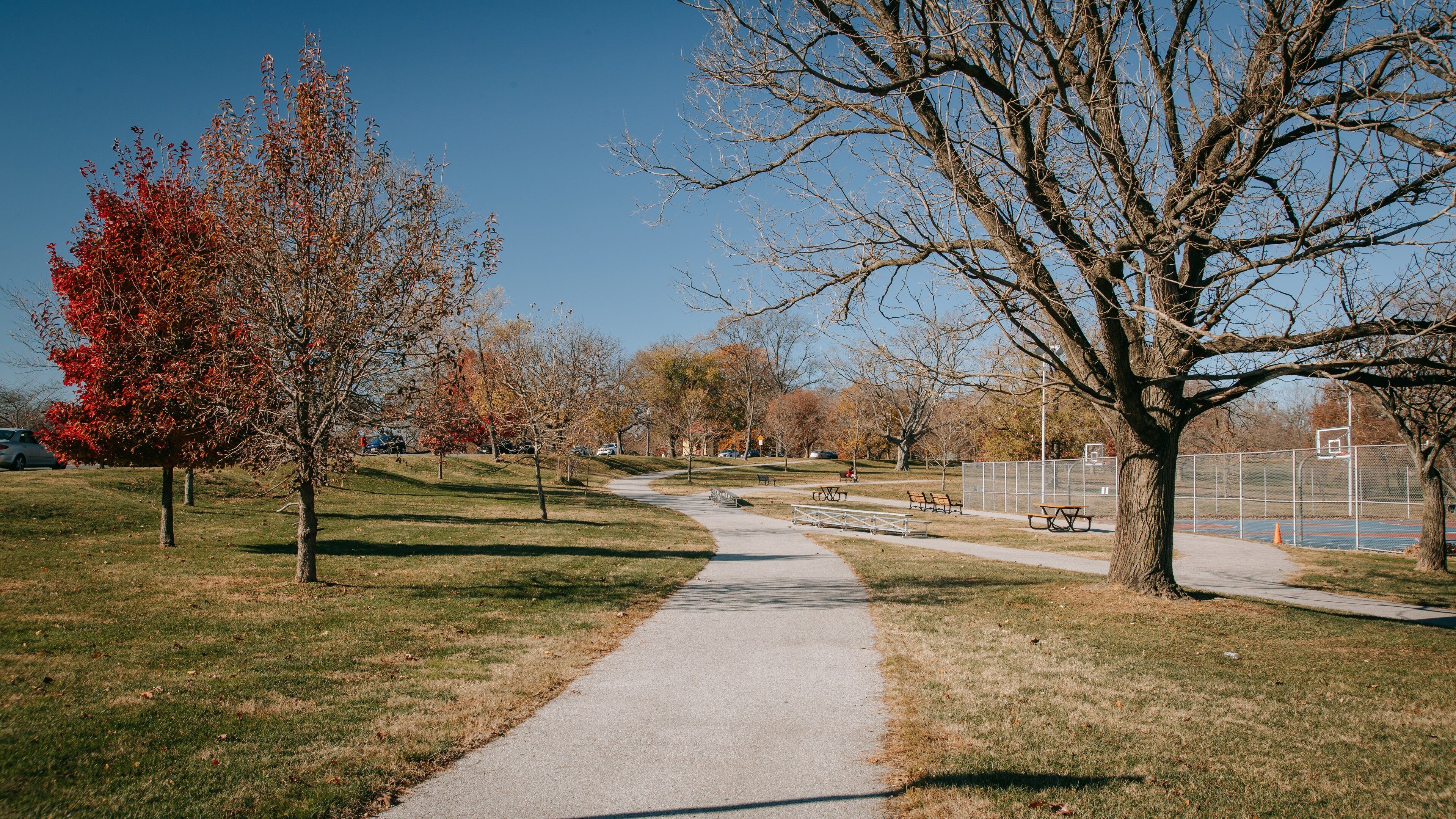 Druid Hill Park which includes a garden