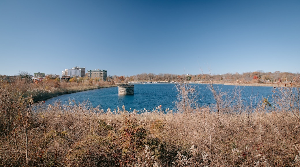 Druid Hill Park showing a lake or waterhole