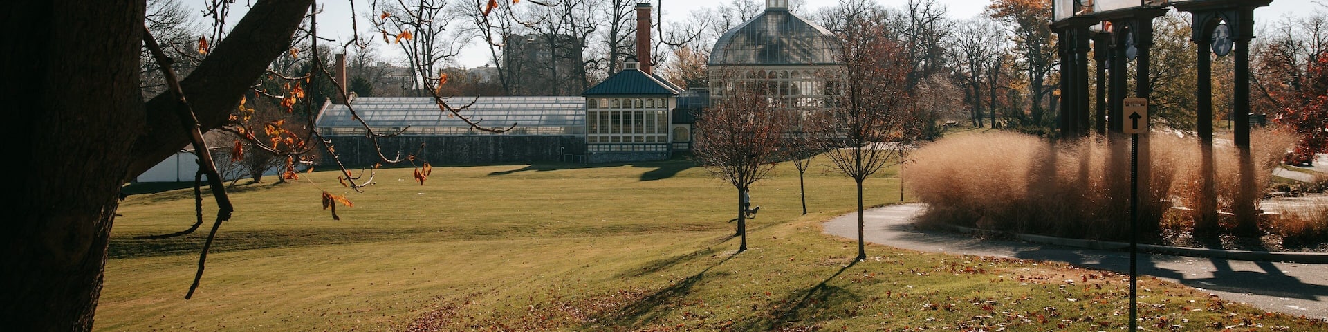 Druid Hill Park featuring a park