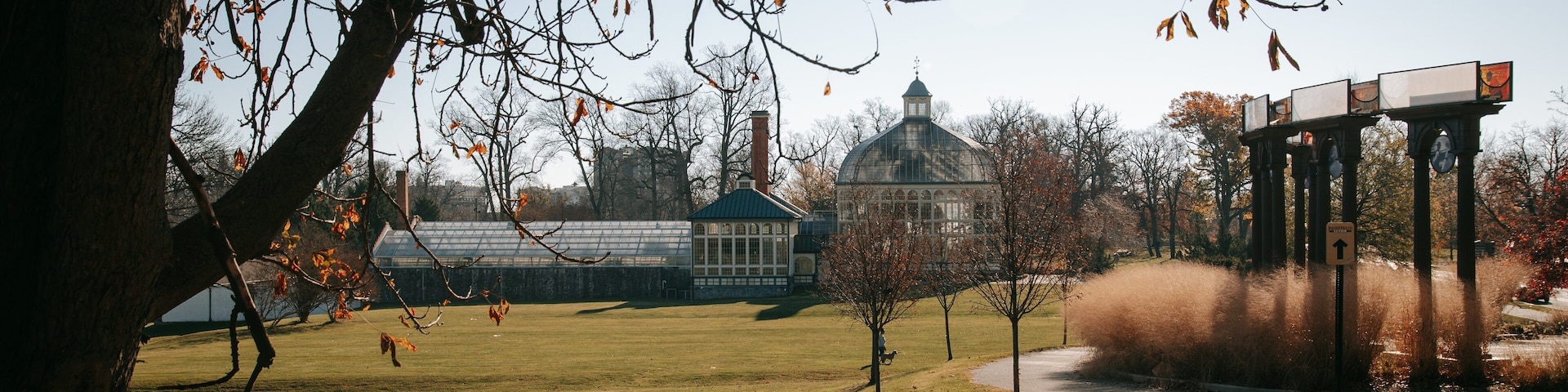 Druid Hill Park featuring a park