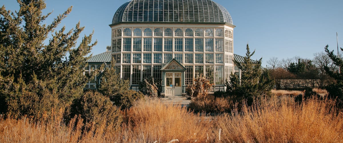 Baltimore Conservatory which includes a park and fall colors