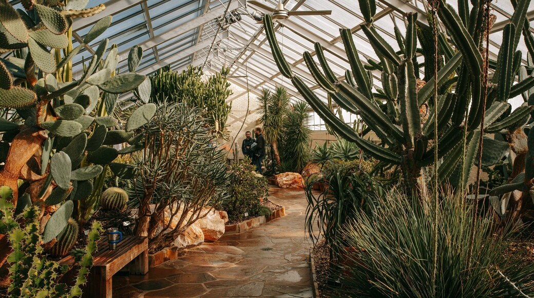 Baltimore Conservatory featuring a garden and interior views