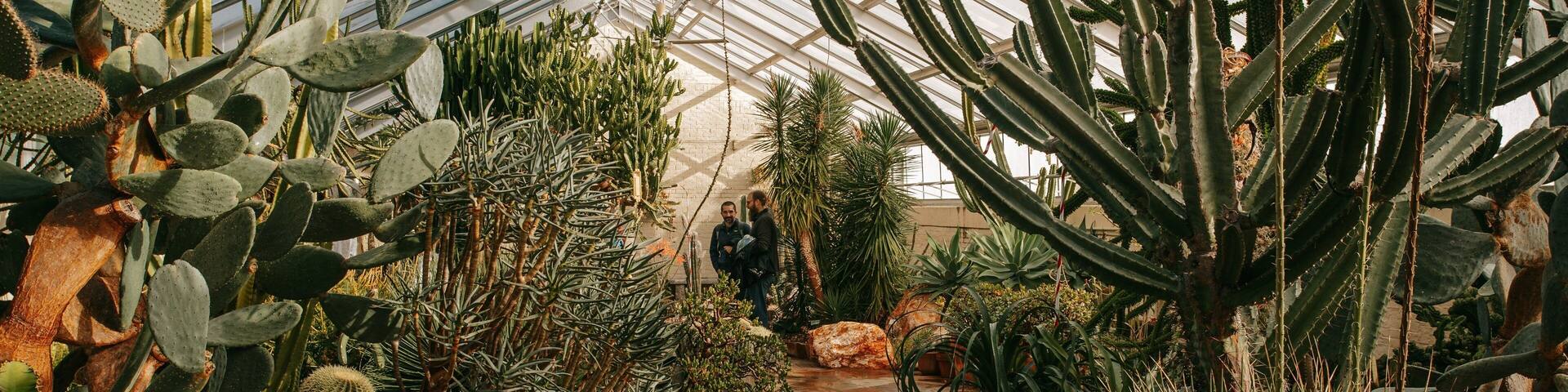 Baltimore Conservatory featuring a garden and interior views