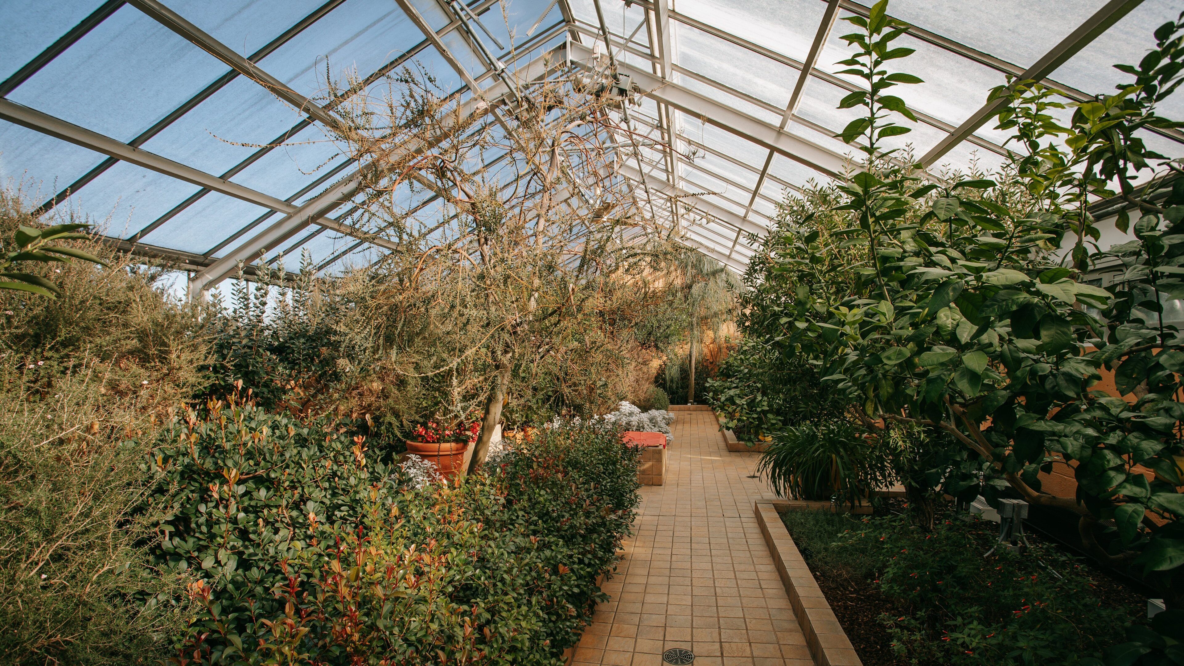 Baltimore Conservatory featuring interior views and a park