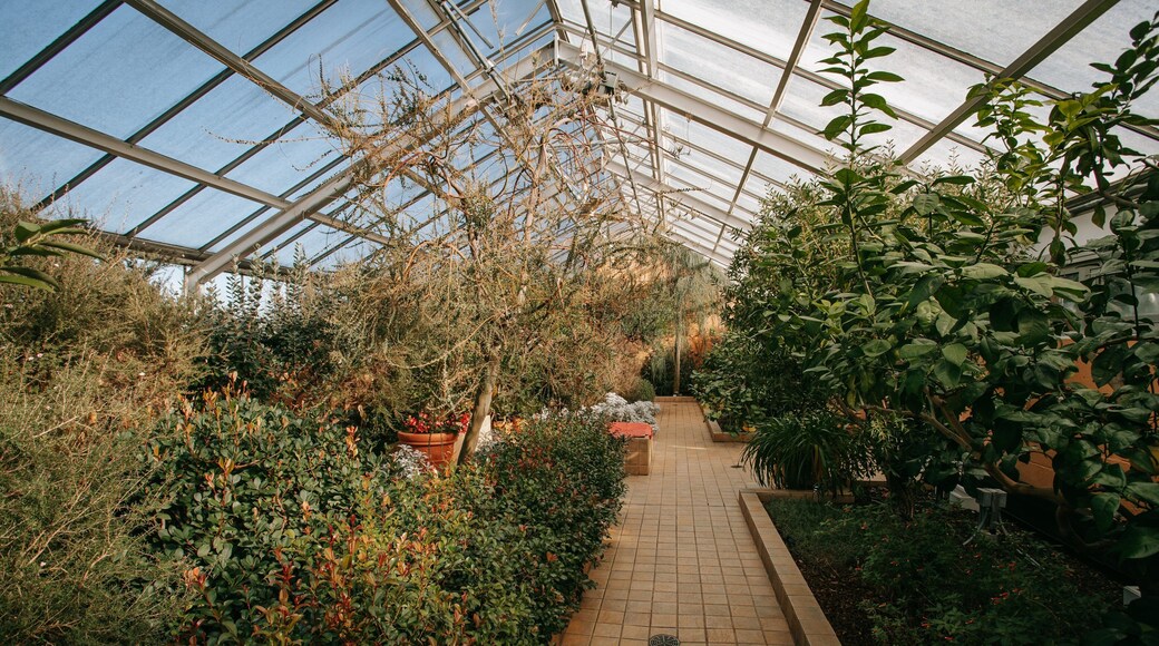 Baltimore Conservatory featuring interior views and a park