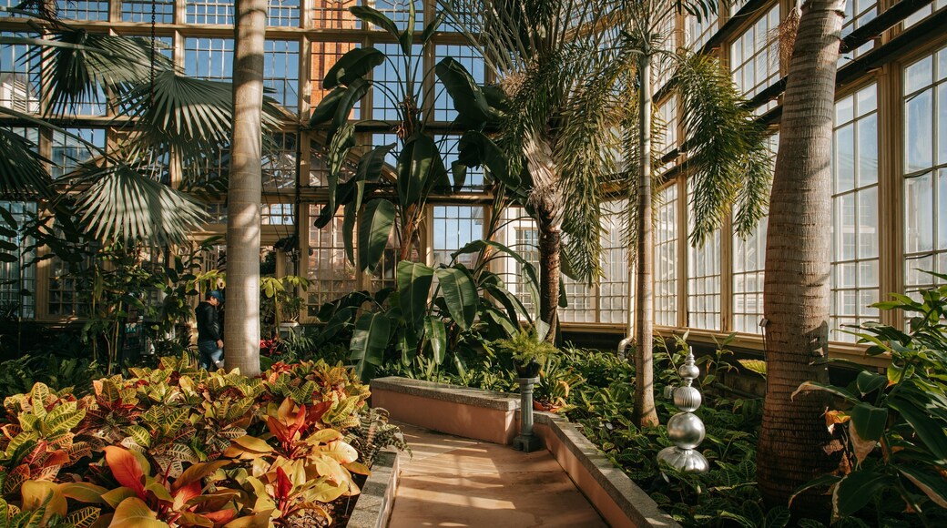 Baltimore Conservatory showing a garden and interior views