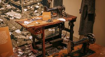 Jewish Museum of Maryland showing heritage elements