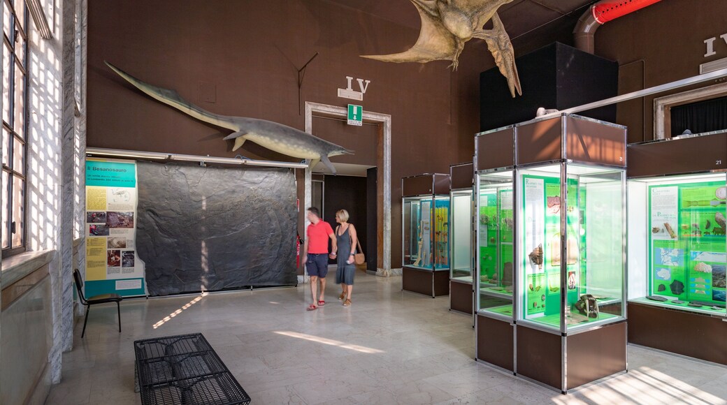 Natural Science Museum featuring interior views as well as a couple