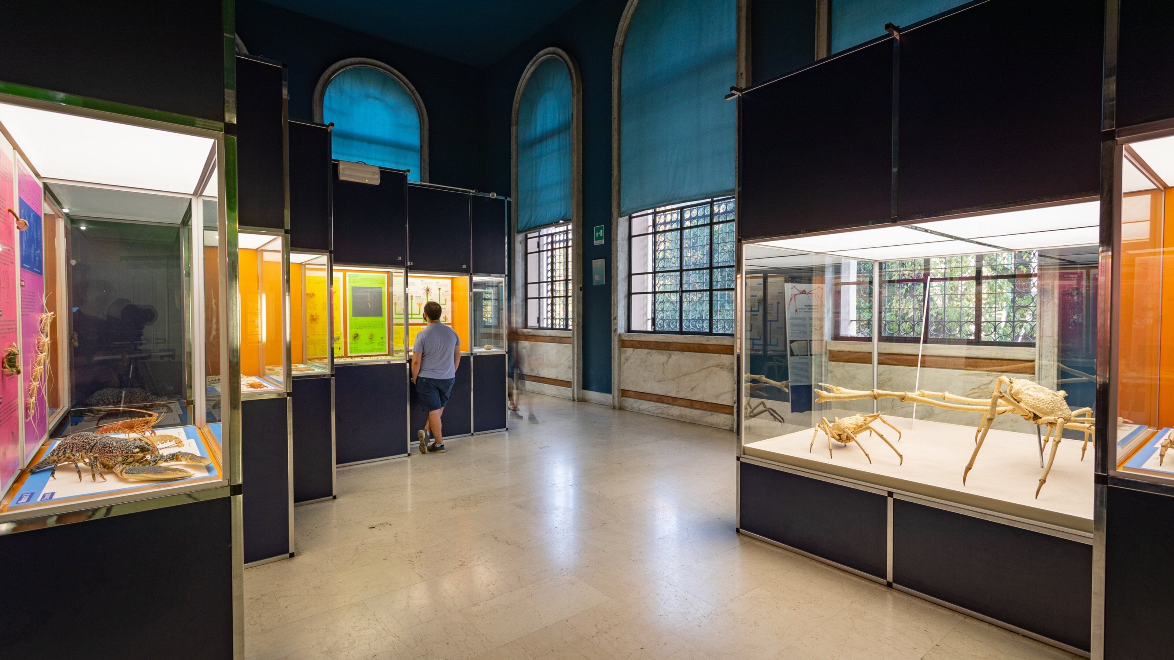 Natural Science Museum which includes interior views