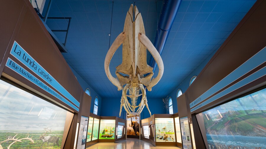 Natural Science Museum featuring interior views