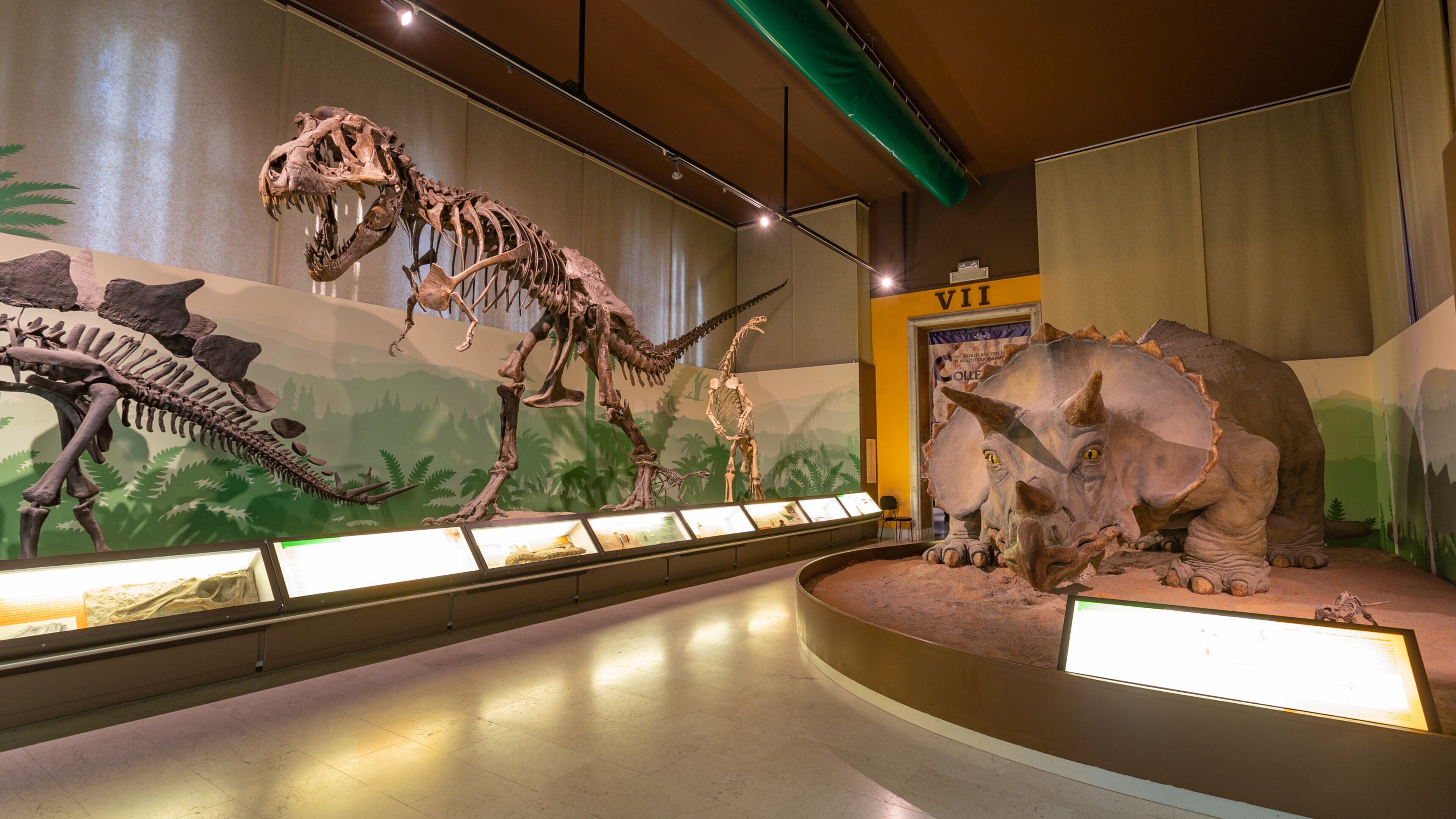 Natural Science Museum featuring interior views