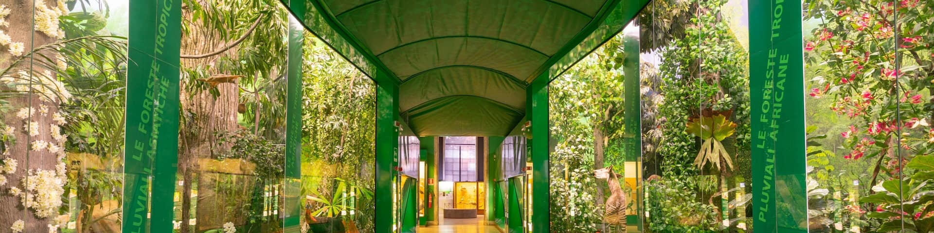 Natural Science Museum featuring interior views