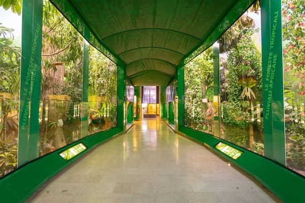 Natural Science Museum featuring interior views