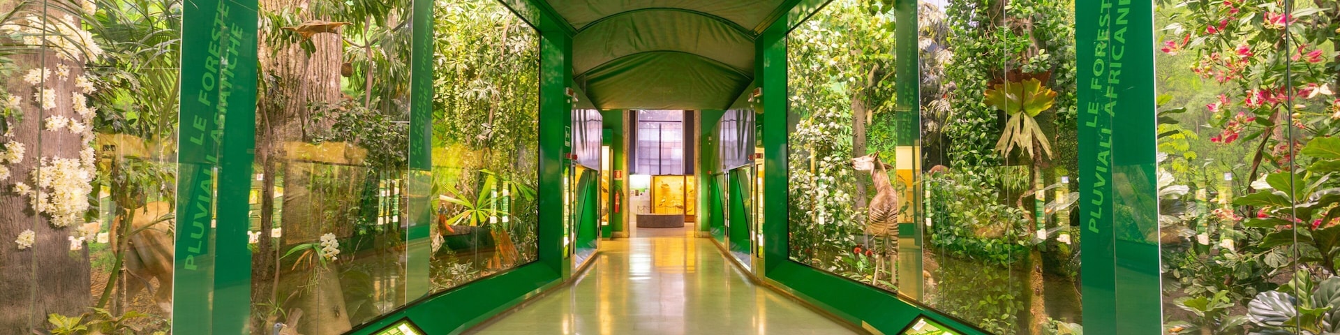 Natural Science Museum featuring interior views