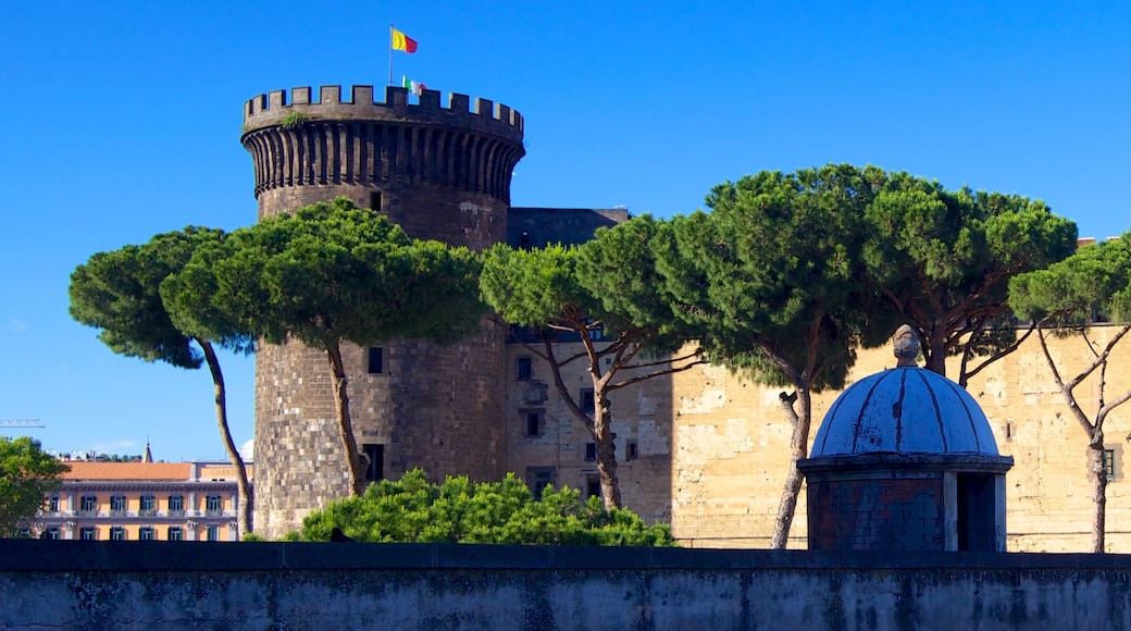 Piazza del Municipio showing chateau or palace and heritage architecture