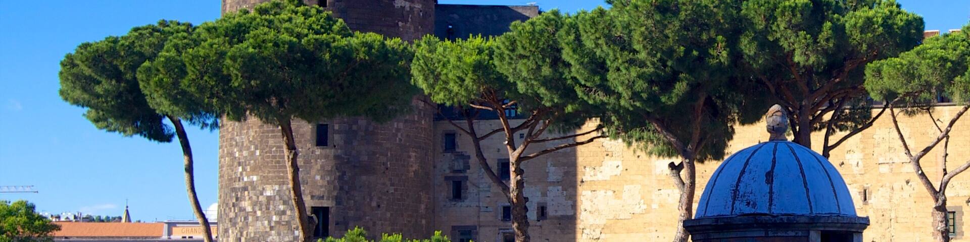 Piazza del Municipio showing chateau or palace and heritage architecture
