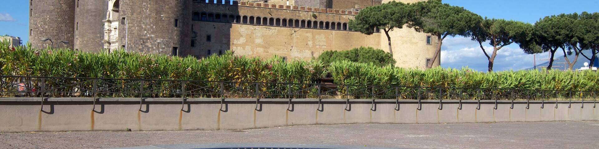 Piazza del Municipio featuring a pond and a castle