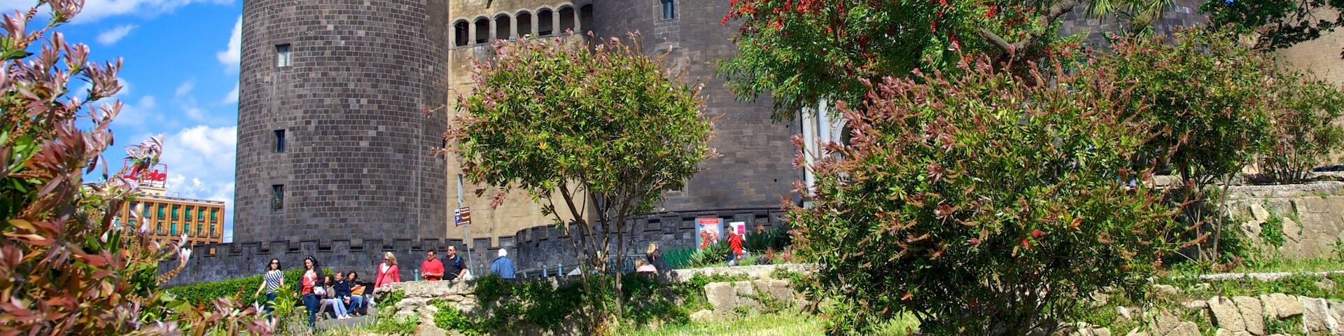A historic castle with multiple towers and a central dome, surrounded by lush greenery and a clear blue sky.
